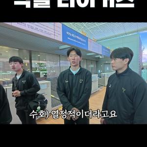 2025 신인도 악플 타이거즈